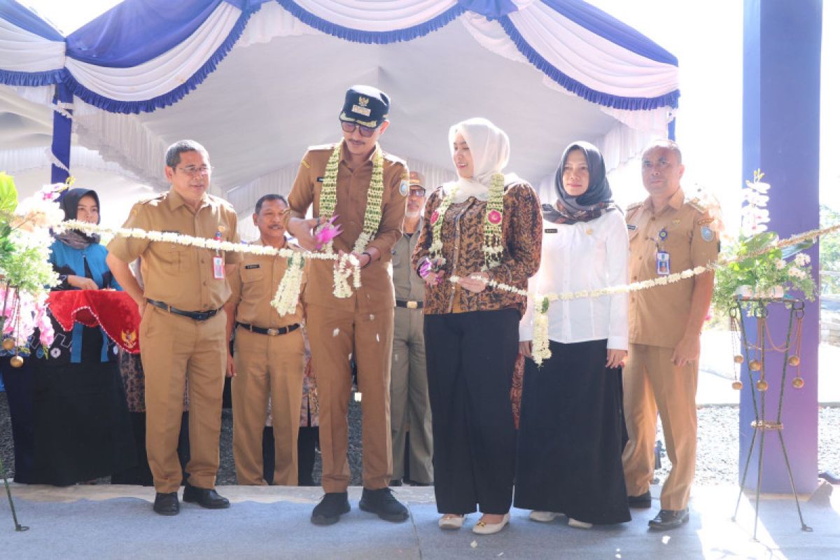 Bupati Banjar dorong pasar hewan jadi pusat perdagangan modern