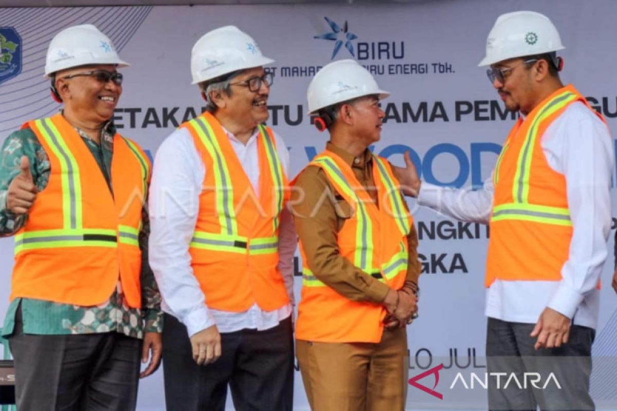 OASA bangun pabrik "wood chip" untuk "co-firing" di Bangka Belitung