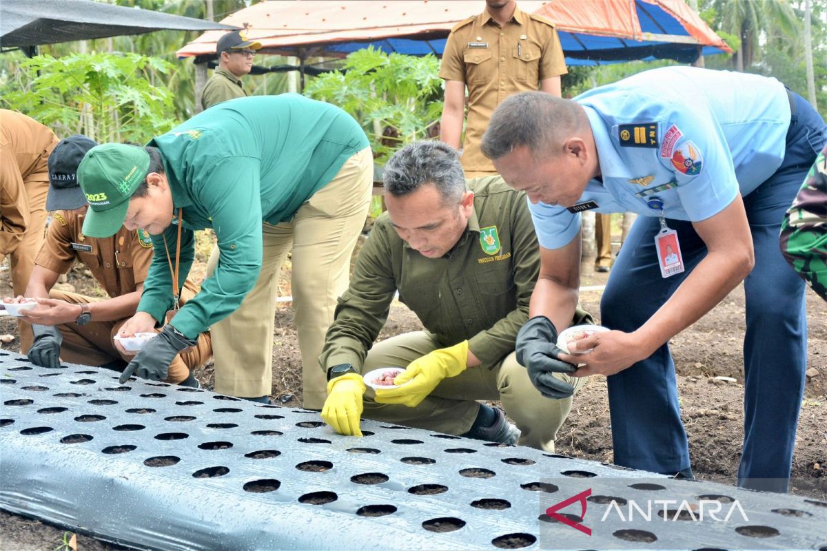 Pemkot Sabang bagikan 2.000 kg bibit bawang merah guna tekan inflasi