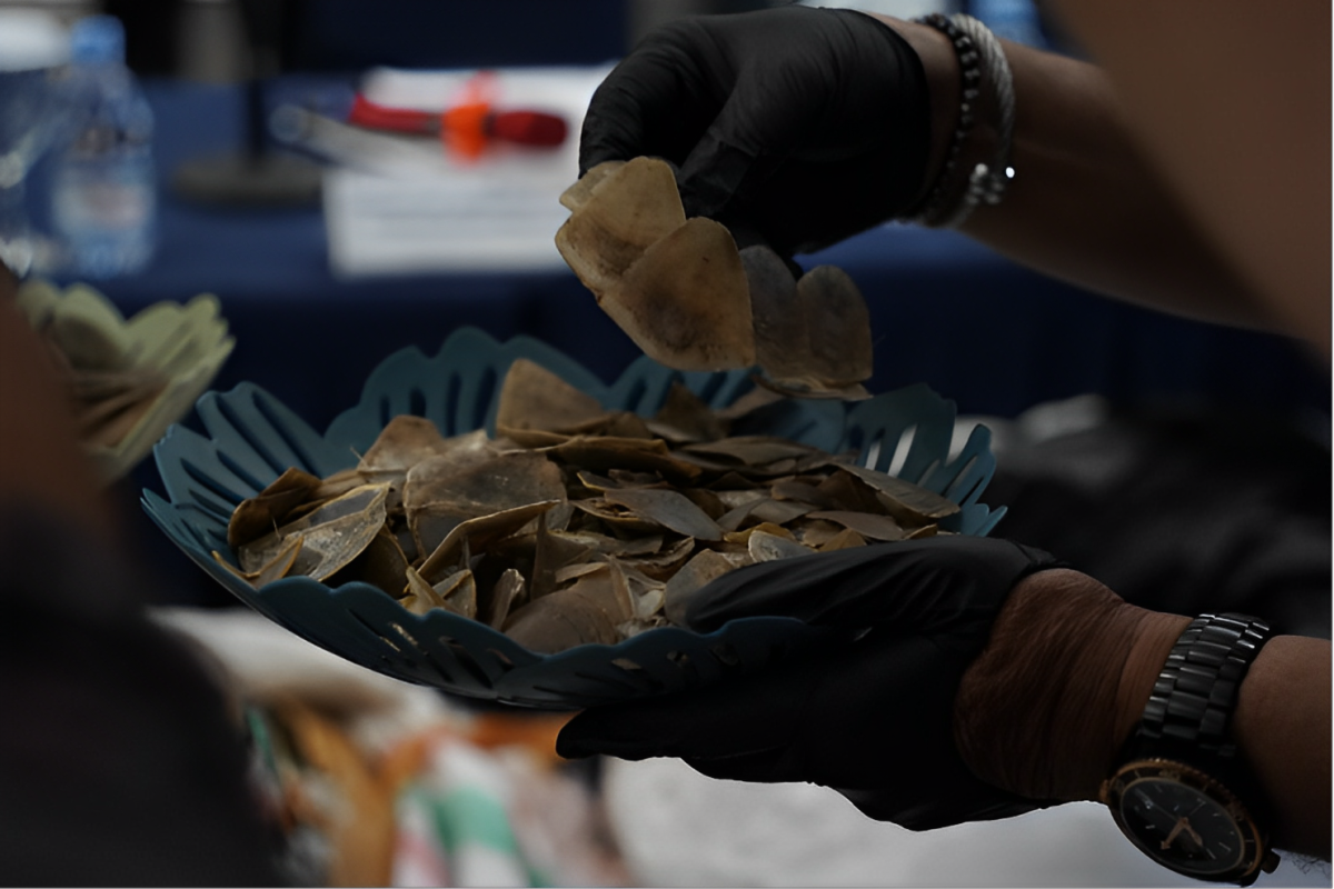 Pelaku ketiga kasus penyelundupan 360 kilogram sisik trenggiling ditangkap