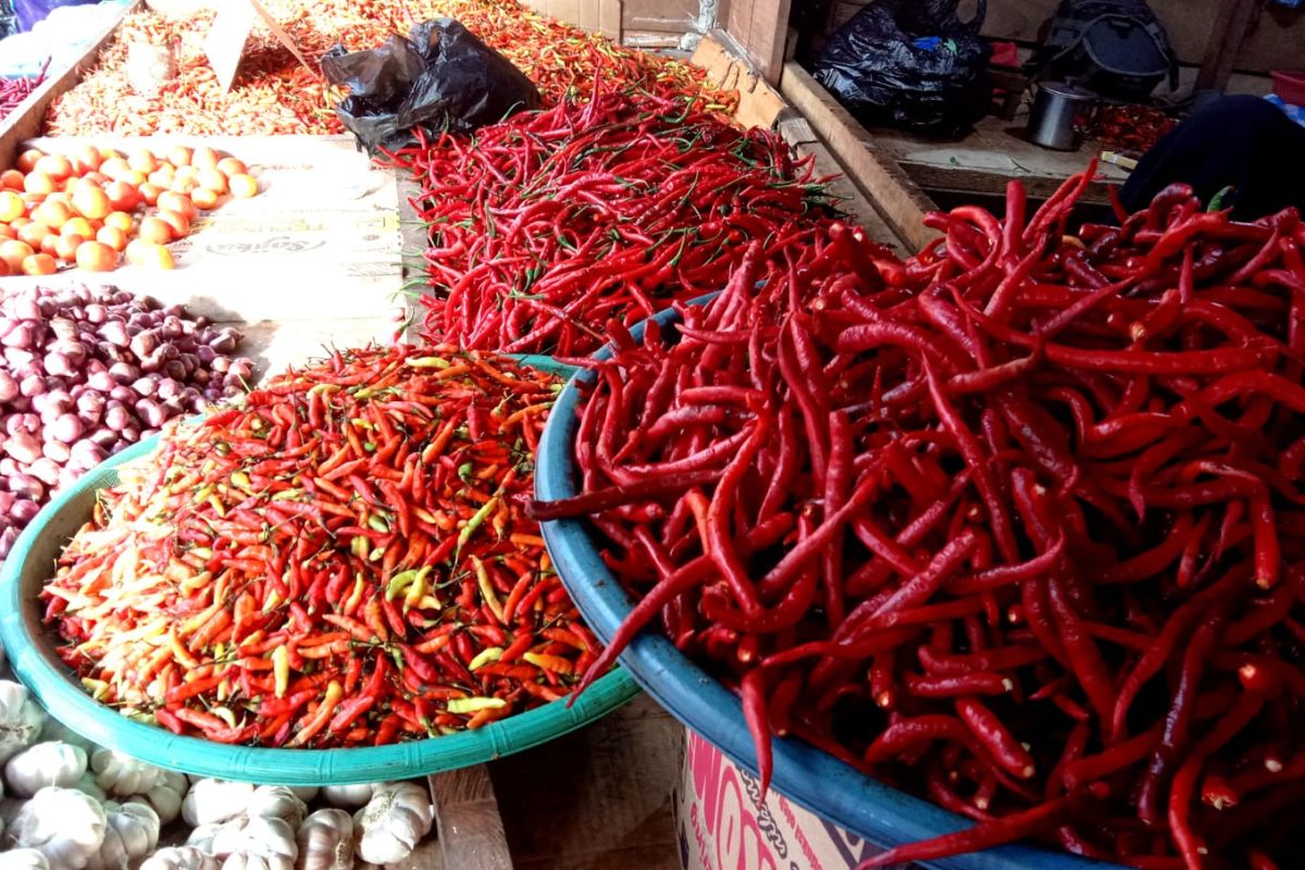 Disperindag: harga cabai merah keriting di Ambon naik