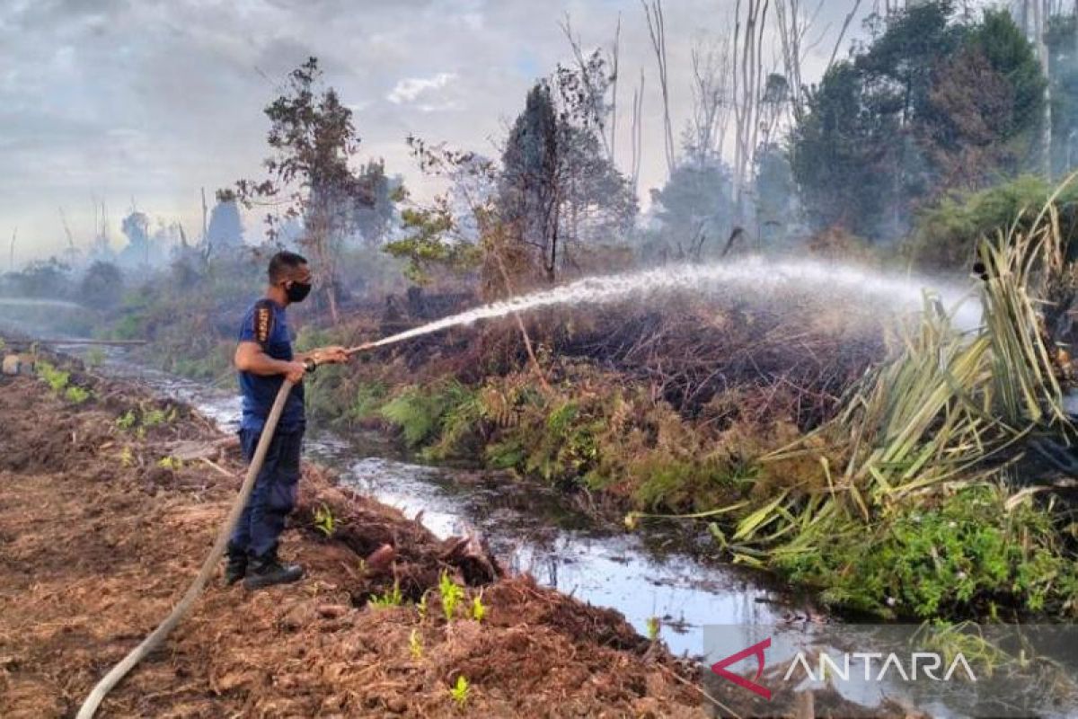 Hujan redakan Karhutla tiga titik api di Aceh Barat