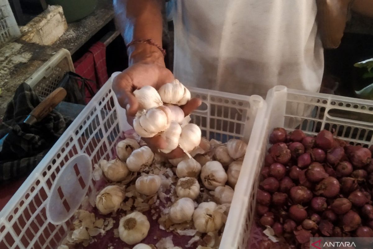 Harga bawang putih di Gianyar Bali capai hingga Rp55 ribu per Kg
