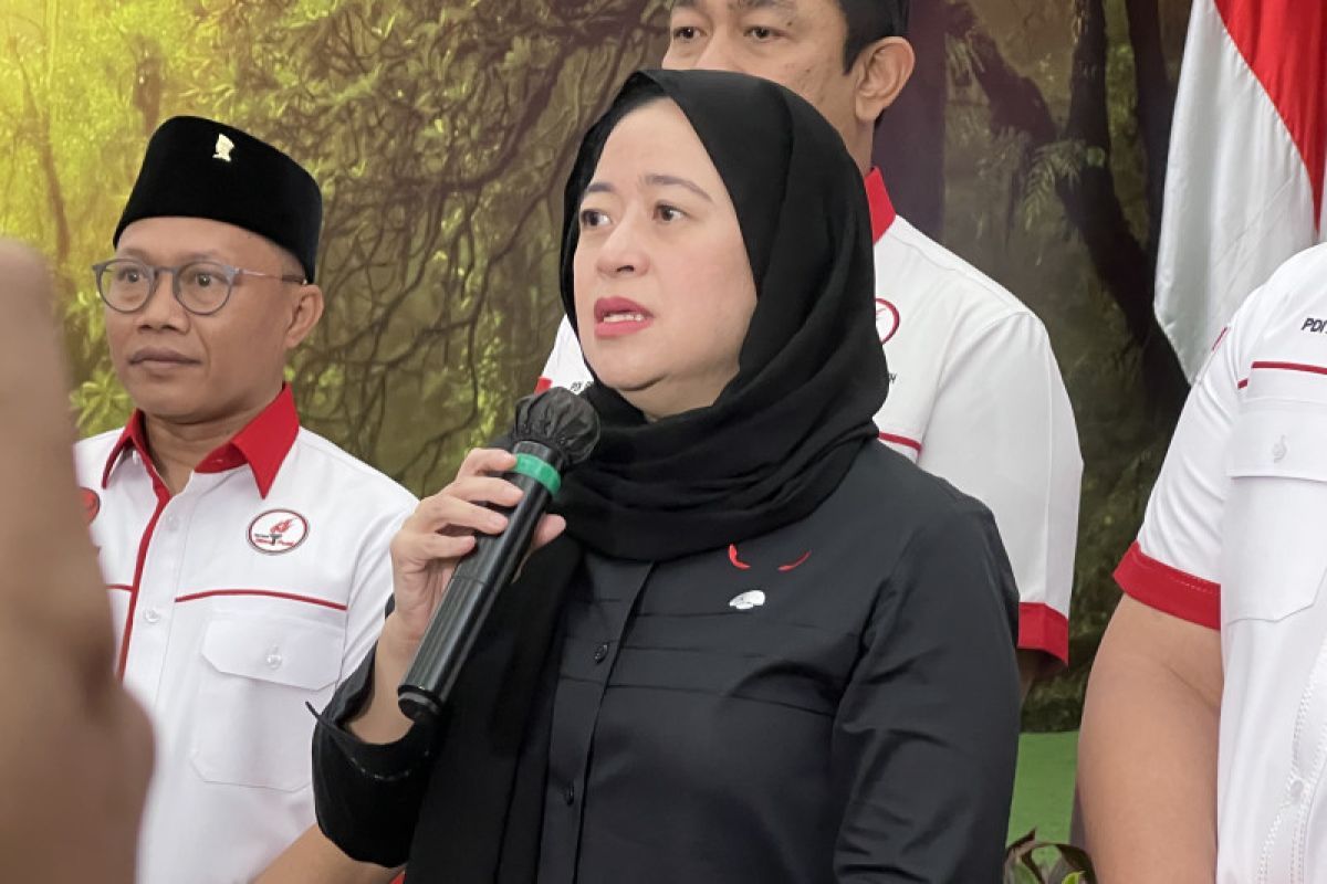 Puan Maharani bilang ada rencana pertemuan Megawati dengan ketum parpol lain