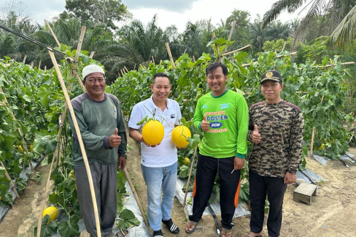 Ketua DPRD Siak terima aspirasi dan keluhan petani di Kandis