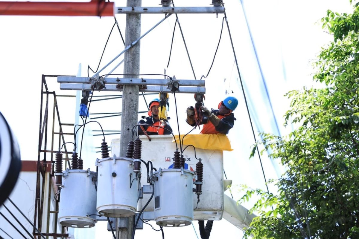 PLN melakukan pemeliharaan tanpa padam di Banyuwangi