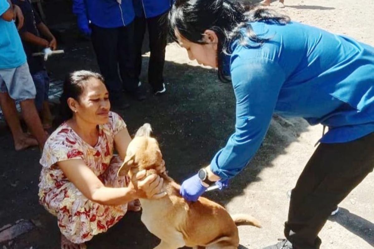 Pemkab Banyuwangi vaksinasi hewan pembawa virus rabies