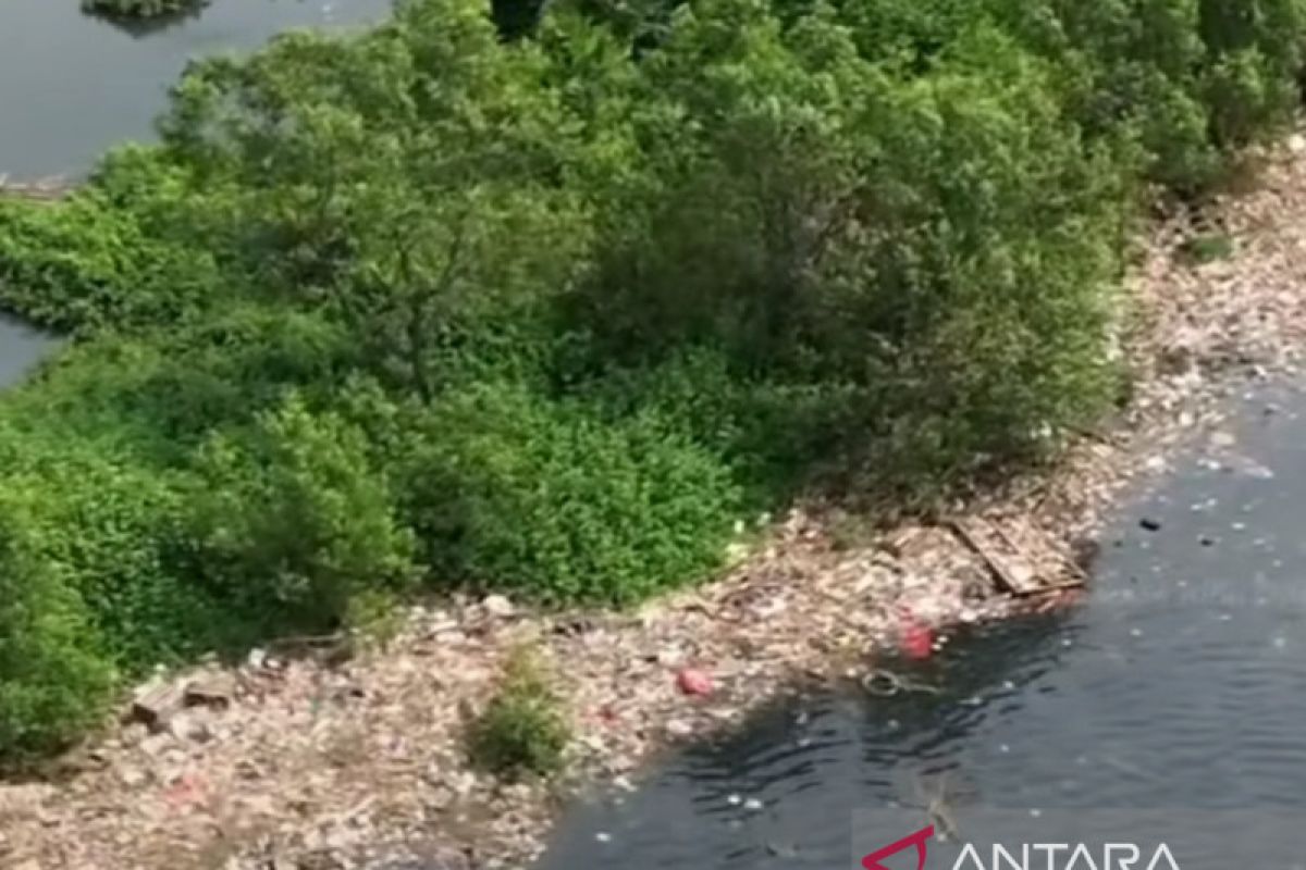 Sampah Pantai Mangrove Muara Angke diperkirakan dari daerah lain