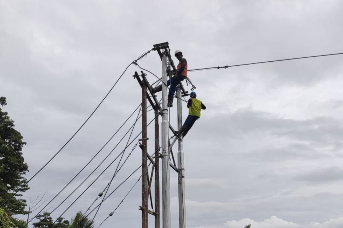 Indonesia surplus listrik