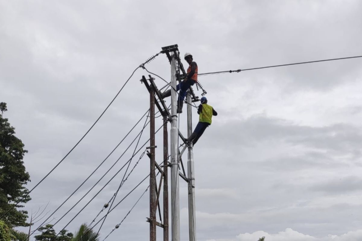 PLN ULP Masohi pulihkan jaringan kelistrikan akibat cuaca  ekstrem