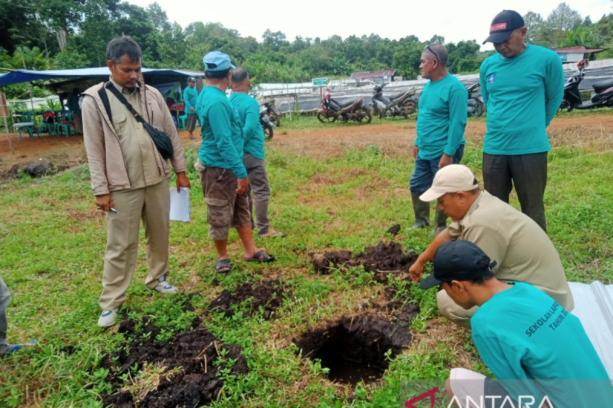 DKPP Belitung melatih petani budi dayabawang merah