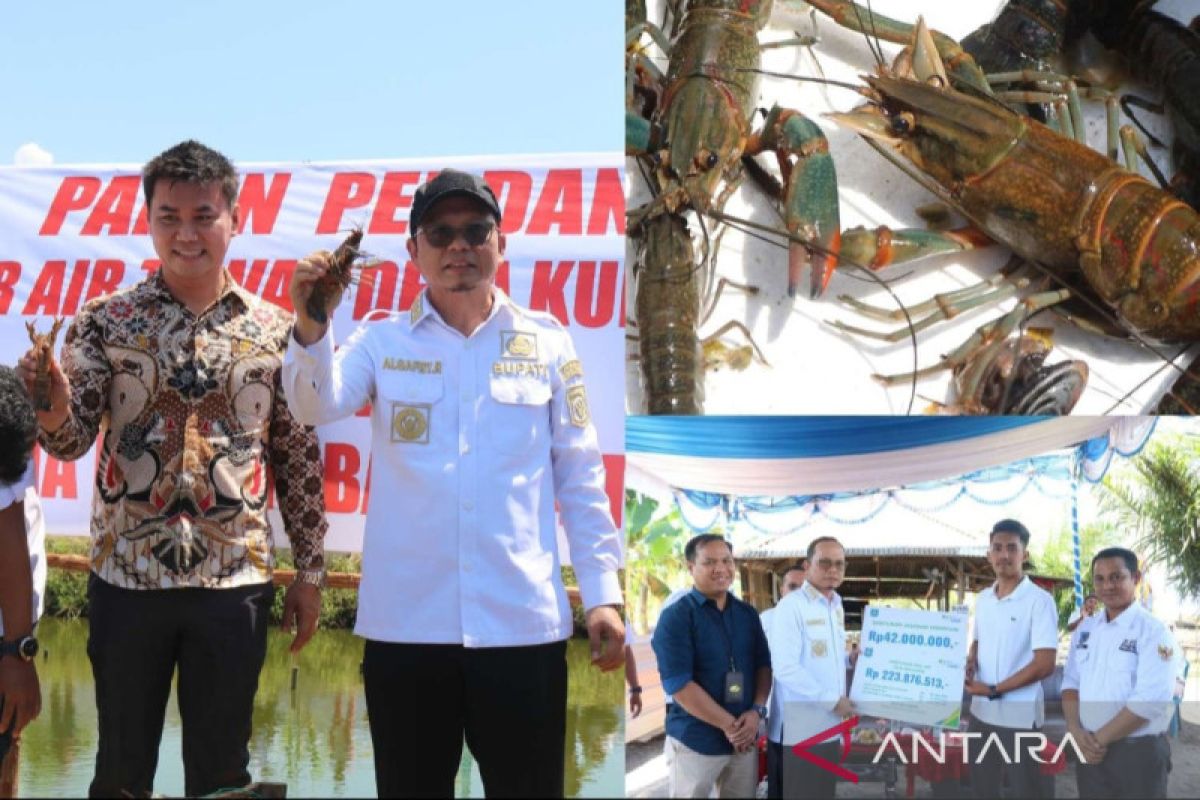 Bangka Tengah dorong warga membudidayakan lobster