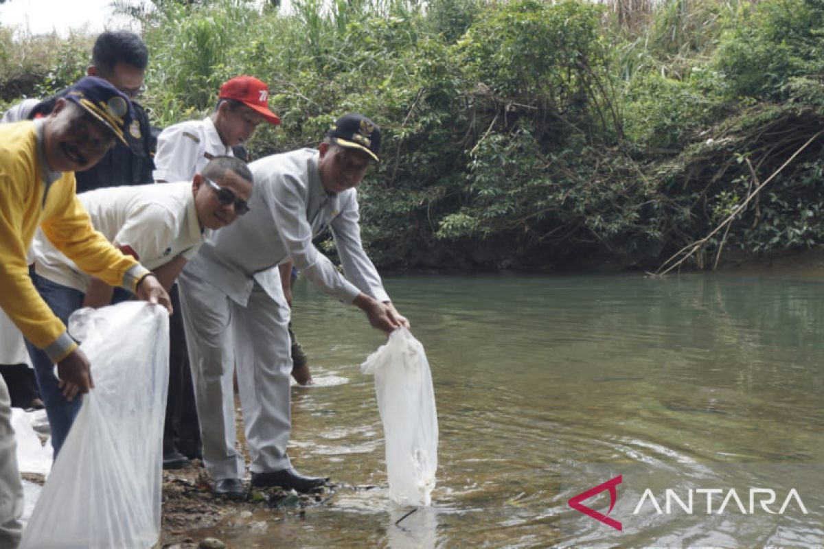 Pemkab Pasaman Barat tebar 10 ribu bibit ikan di Sungai Batang Lapu