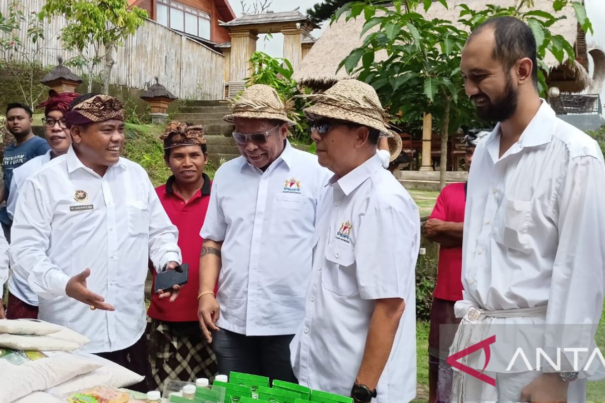 Kadin Indonesia melihat sawah organik di Sidan Gianyar