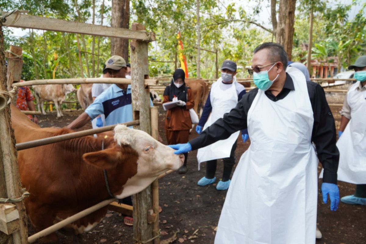DPKH Gunungkidul melakukan vaksinasi massal hewan ternak di Candirejo