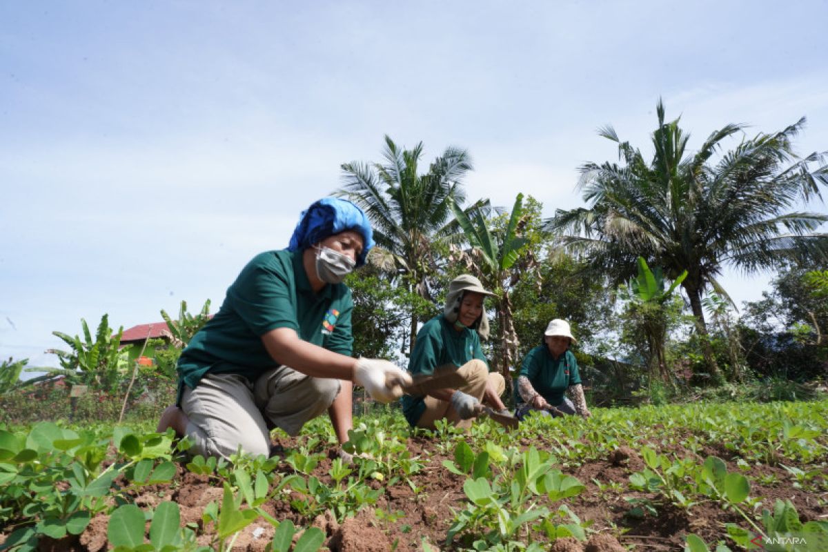 PT Vale wujudkan kemandirian masyarakat di area pemberdayaan