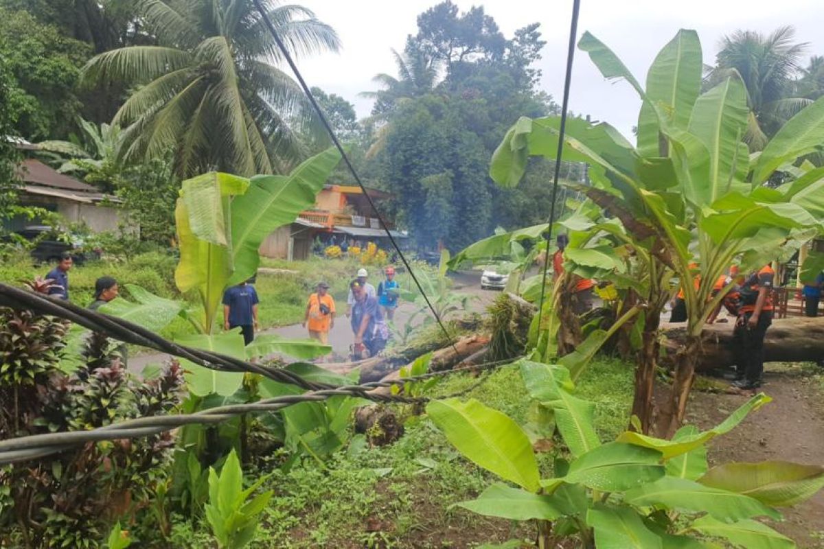 Akibat cuaca ekstrem, 179 punggawa PLN berjuang pulihkan kelistrikan Sumbar