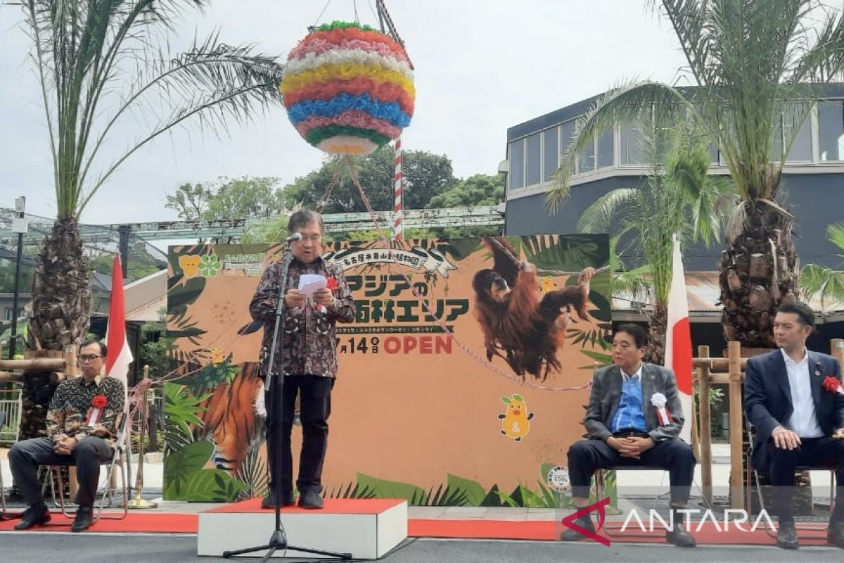 Taman Safari resmikan rumah baru orangutan-harimau sumatera di Jepang