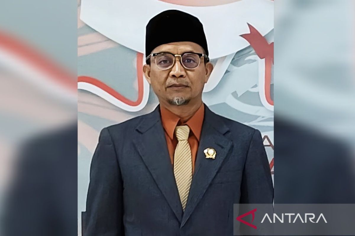 Legislator apresiasi langkah Pemkab Barsel luncurkan tiga inovasi