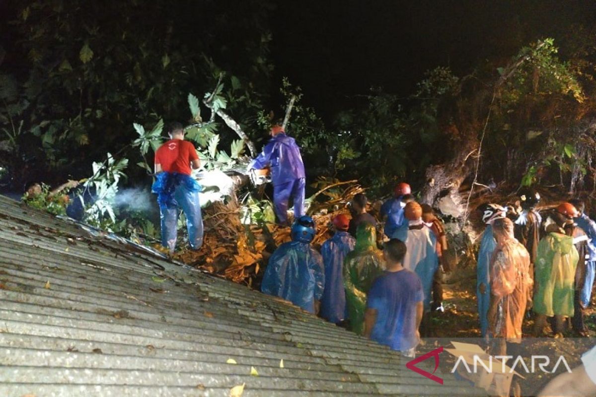 Akibat angin kencang, pohon tumbang tindih rumah & kios warga di Ambon