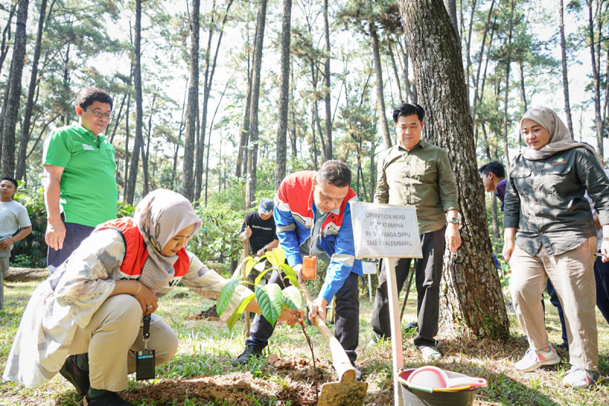Pertamina dan Dinas Kehutanan Provinsi Sumsel tanam 600 bibit pohon di Taman Wisata Punti Kayu Palembang