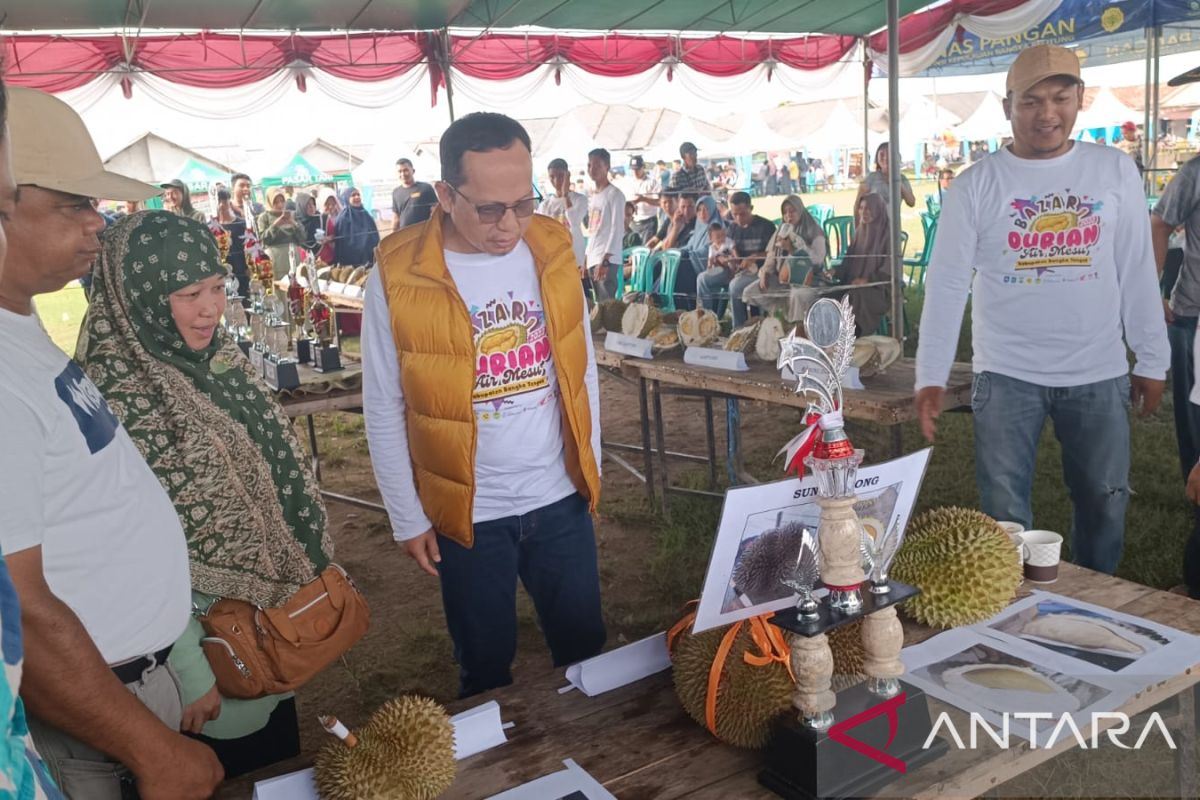 Bangka Tengah gelar kontes durian unggul khas lokal