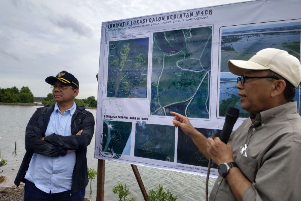 Wamenkeu nilai rehabilitasi mangrove dapat tingkatkan kesejahteraan