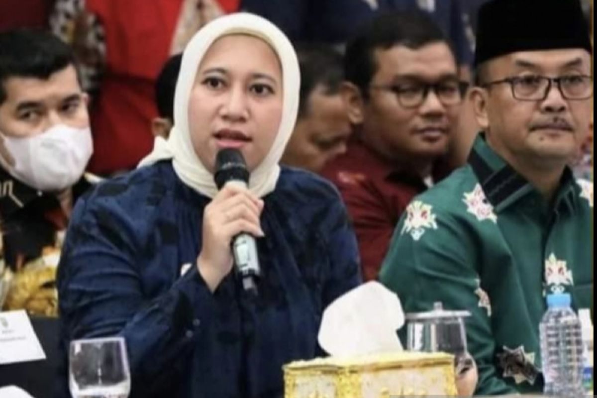 Bupati Inhu paparkan sejumlah masalah di Inhu kepada Komisi V DPR RI