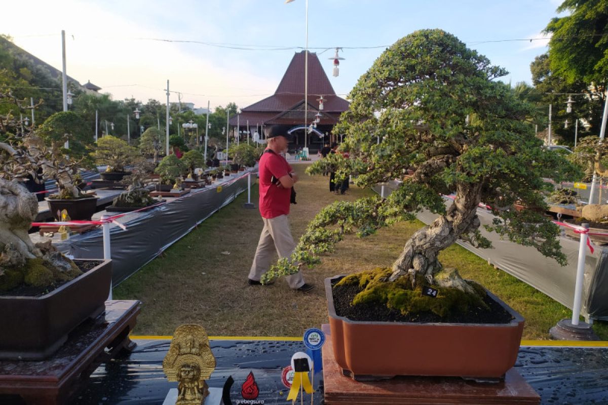 Ratusan peserta dari berbagai daerah ikuti grebeg bonsai Ponorogo