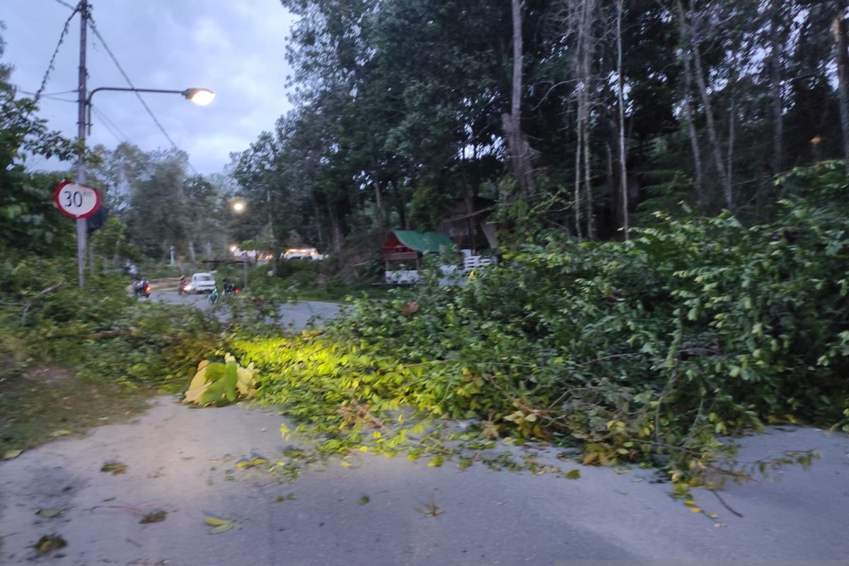 Angin kencang sebabkan kerusakan fasilitas publik di Tanjung Selor