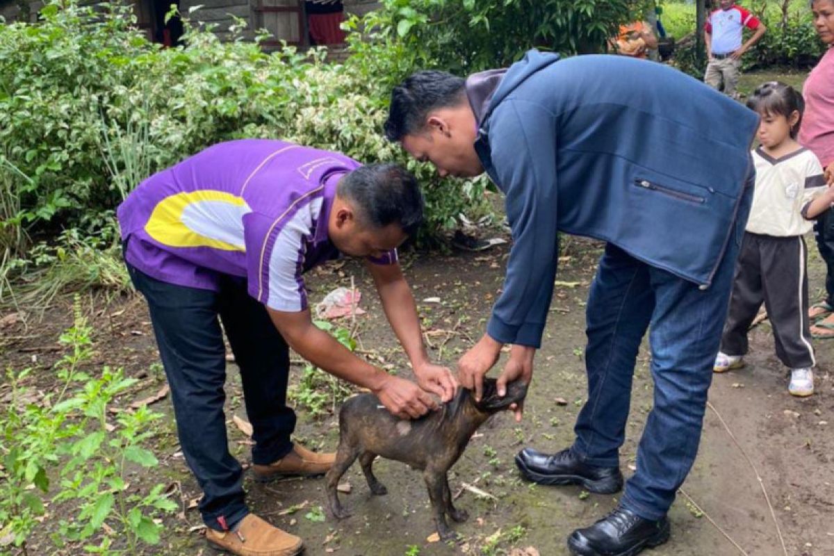 Pasaman Barat vaksinasi hewan peliharaan untuk cegah penularan rabies