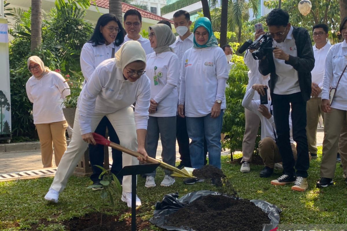 BPOM celebrates Environment Day by planting 10.000 medicinal plants