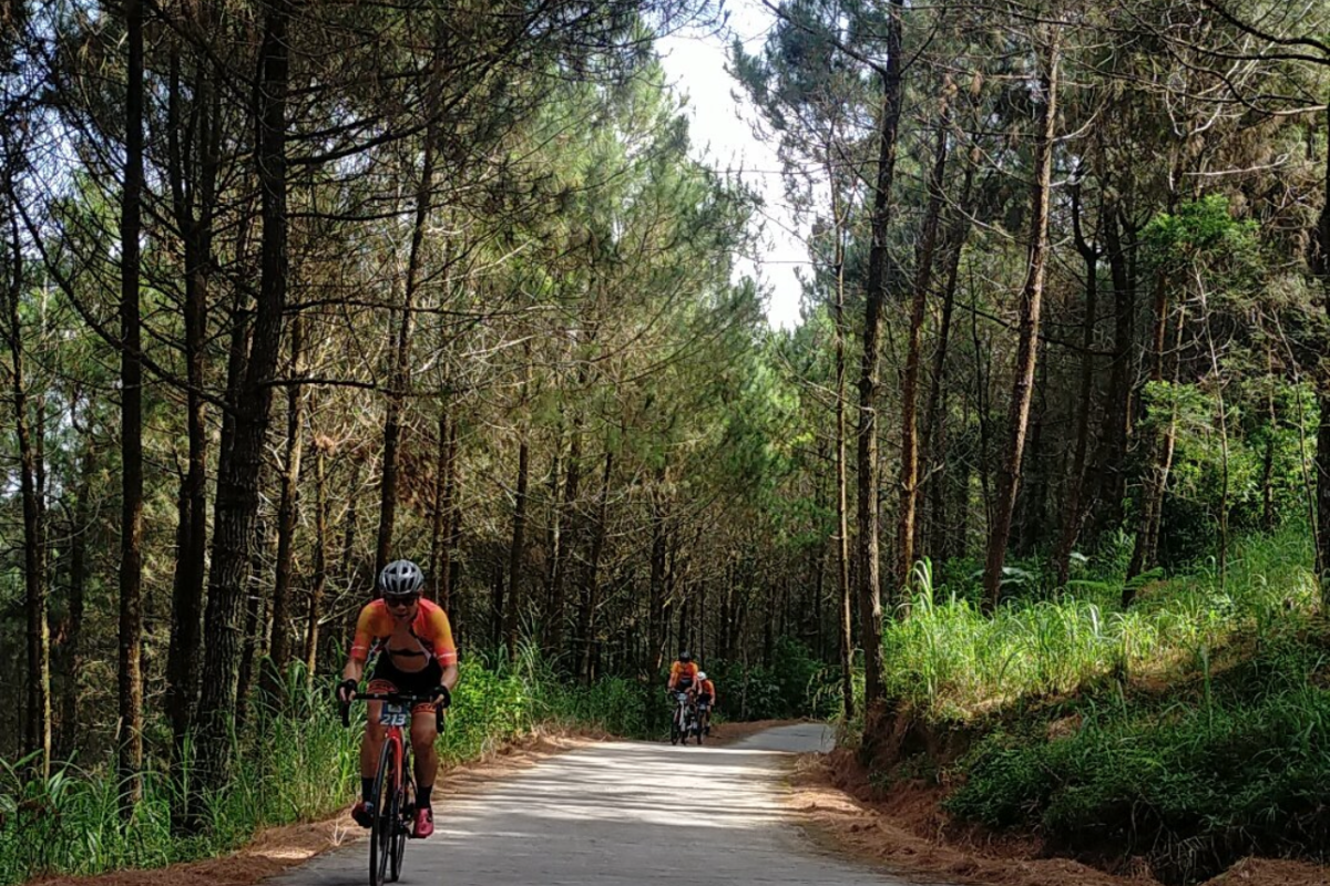 Awali Tour de Borobudur, ratusan peserta ikuti Pedal Pedia 2023 Telomoyo