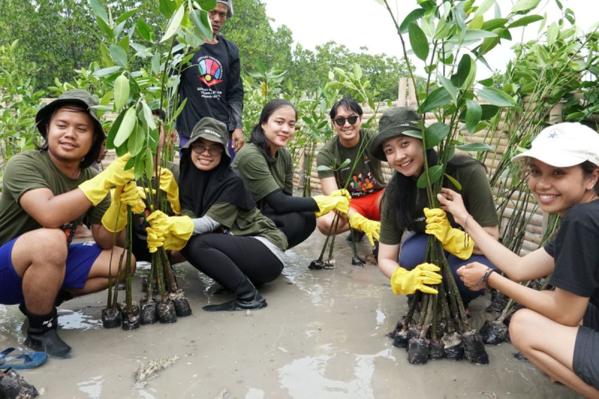 Sharp Indonesia bersama Yayasan Terangi rehabilitasi ekosistem biru di Hari Mangrove Sedunia