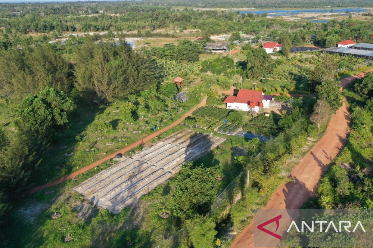 PT Timah reklamasi 203,6 hektare bekas tambang di Bangka Belitung