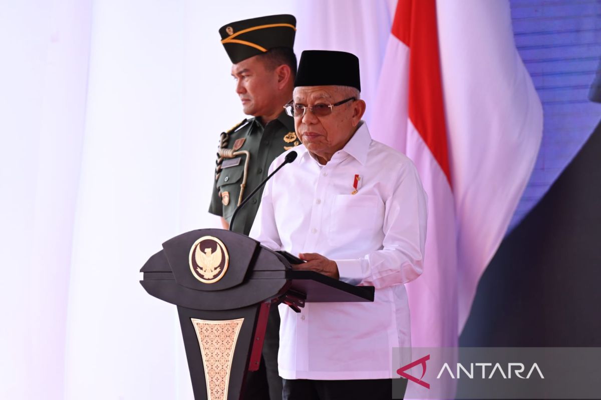 Wapres tekankan pengutamaan OAP jadi kebijakan afirmasi pemerintah