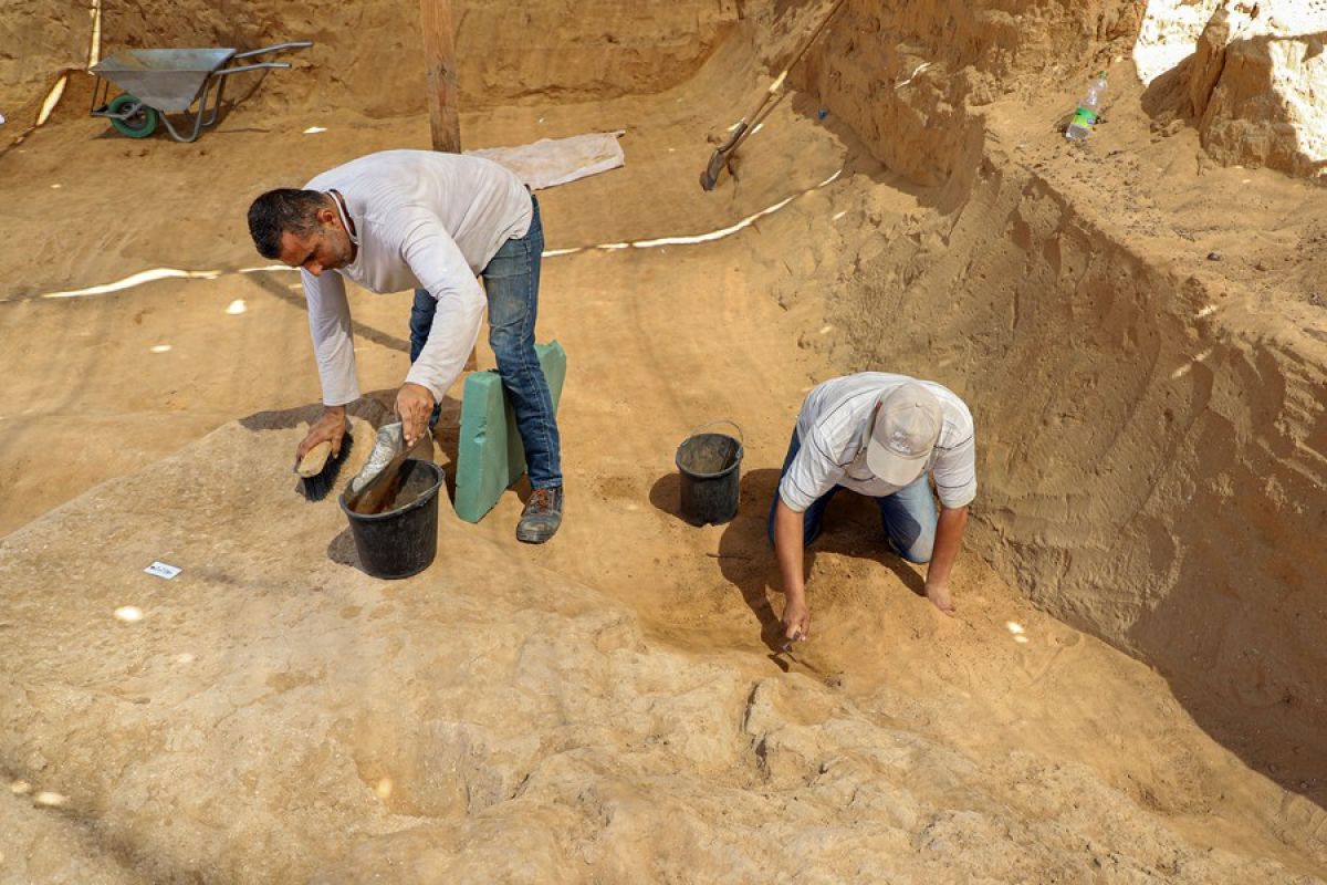Sarkofagus era Romawi kedua ditemukan di situs permakaman di Gaza