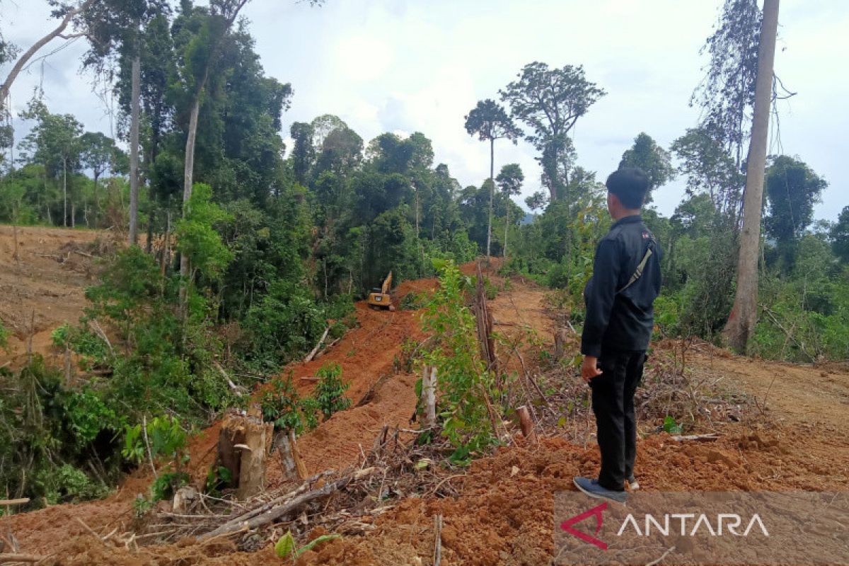 Mukomuko selidiki pemilik alat berat dalam hutan produksi Air Rami