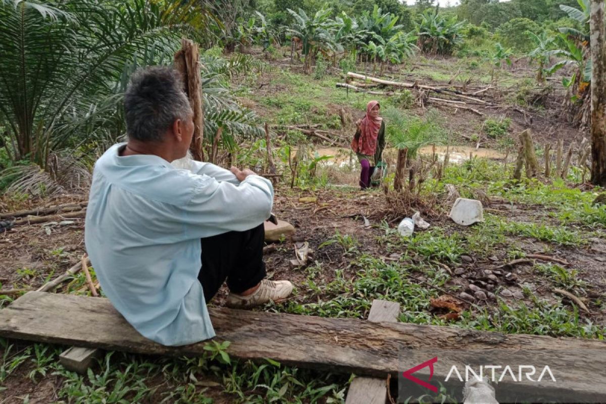 Kaltim kemarin, normalisasi sungai hingga 300 rumah layak huni