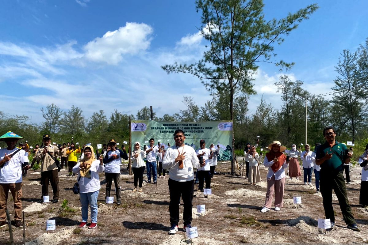 Loka POM Belitung menanam 215 batang kayu putih