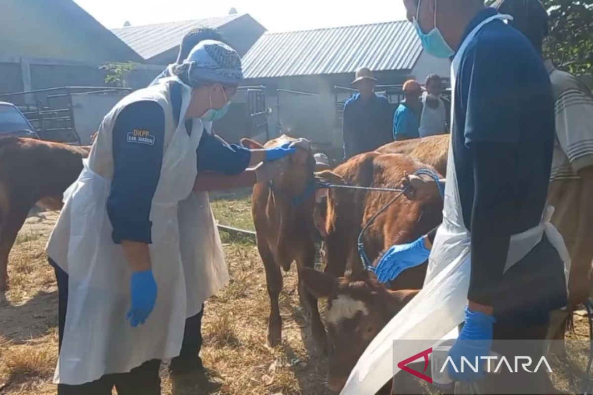 Antisipasi antraks, DKPP Madiun gelar pemeriksaan ternak di pasar hewan