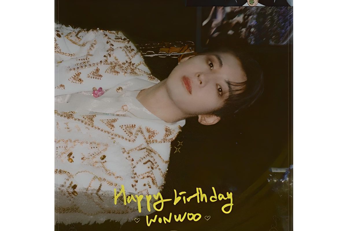 Wonwoo SEVENTEEN ulang tahun, para anggota berikan ucapan manis