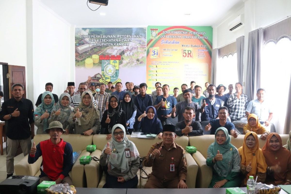BPSIP Riau latih 50 peternak memproduksi susu kambing terstandar