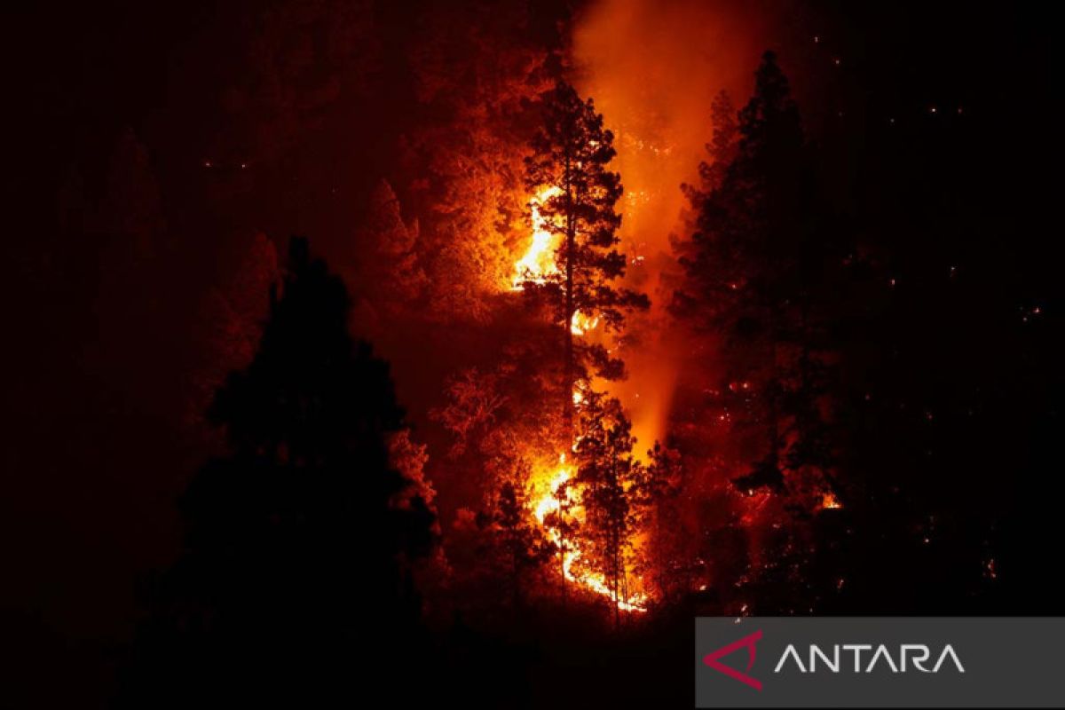 Kebakaran di Pulau La Palma hanguskan 3.600 hektare wilayah Spanyol