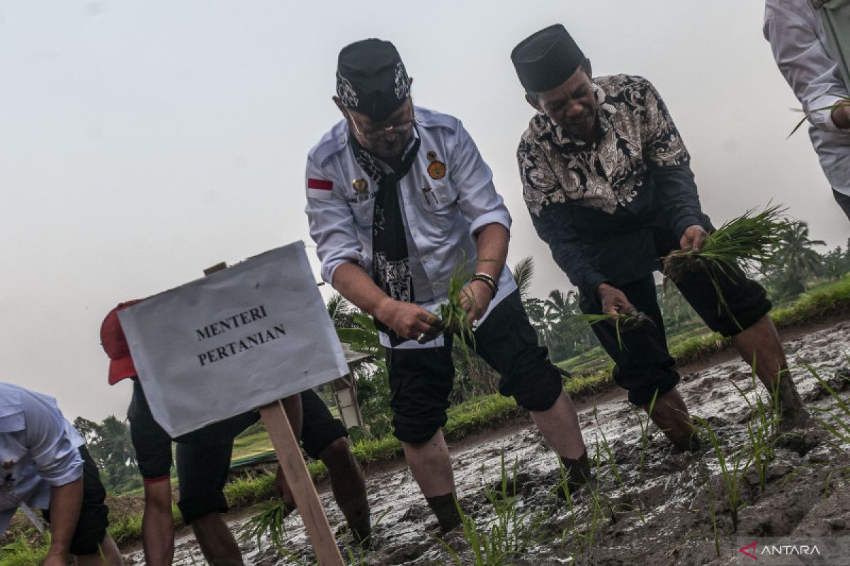 Optimistis Pandeglang atasi El Nino dengan gerakan percepatan tanam