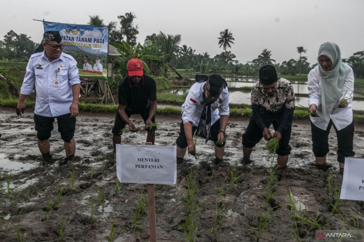 Kabar gembira, Mentan sebut Pandeglang bisa jadi penyangga pangan nasional