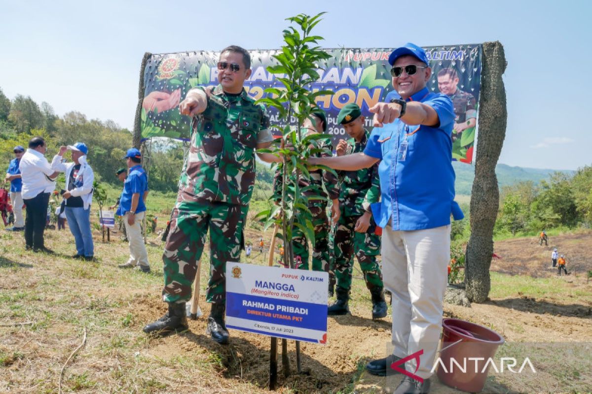 Pupuk Kaltim gandeng Kostrad tanam lebih 63 ribu pohon