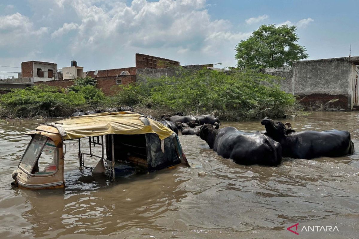 Banjir bandang sapu negara bagian di India, 23 tentara hilang
