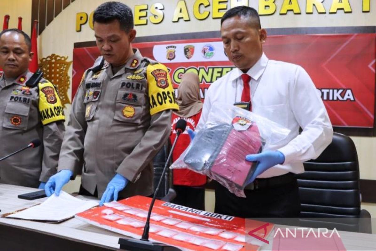 Mahasiswi cantik bawa paket sabu diborgol polisi