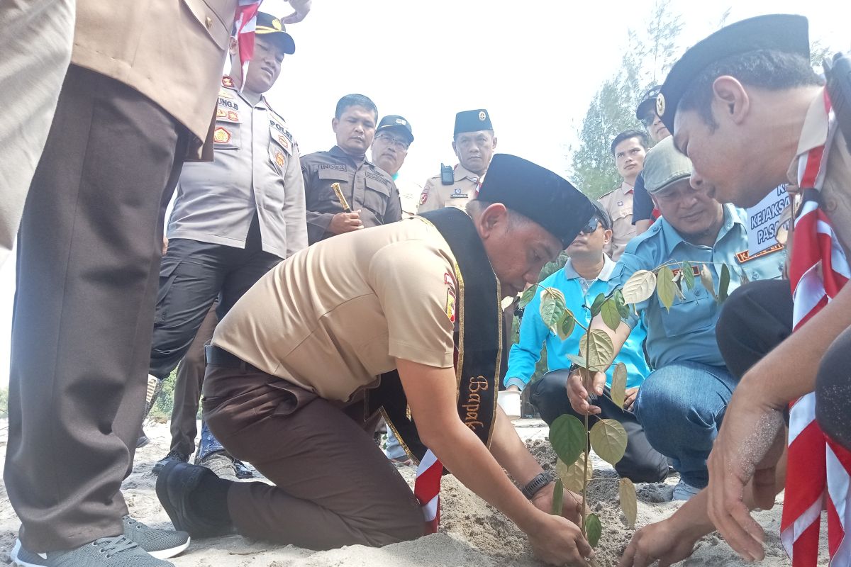 Kejari Pasaman Barat tanam pohon pelindung di Pantai Sikabau